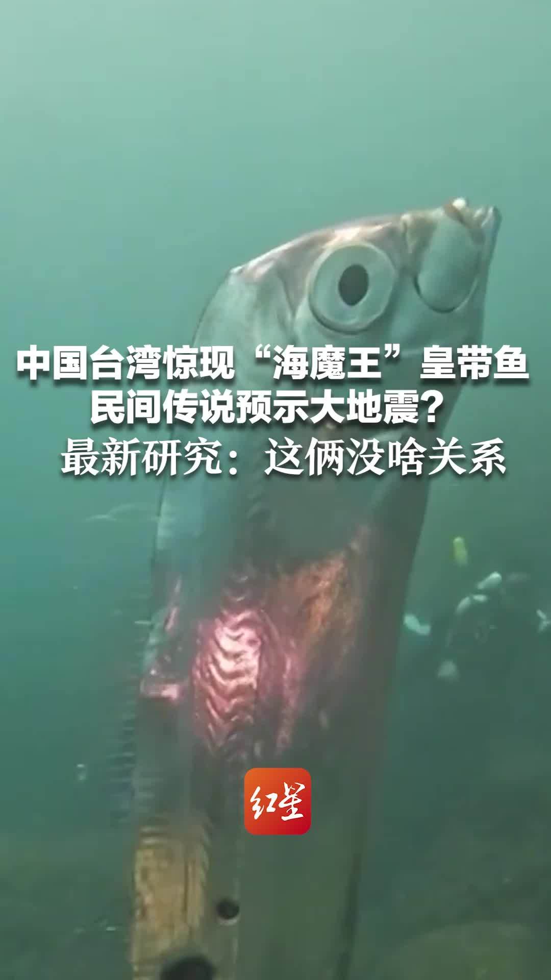 中国台湾惊现“海魔王”皇带鱼 民间传说预示大地震？最新研究：这俩没啥关系