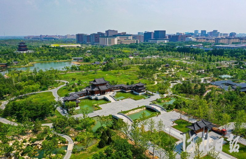 7月20日，无人机航拍雄安悦容公园美景。