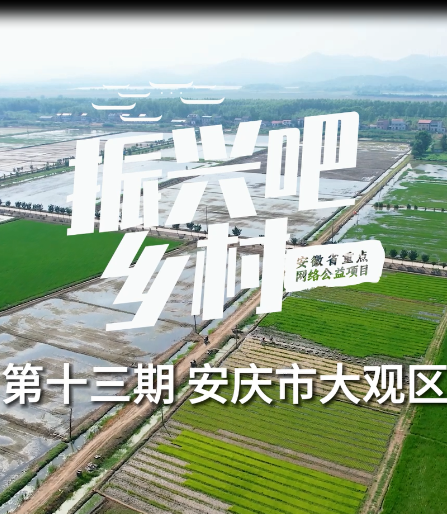 振兴吧！乡村