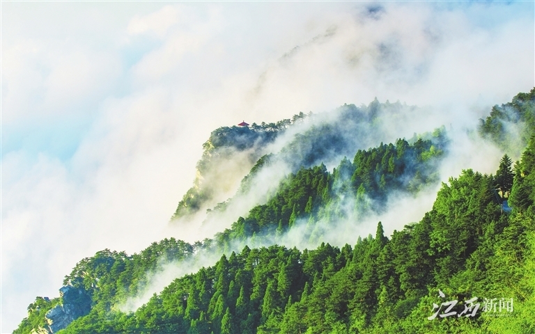 电影《长安三万里》竟有这么多九江元素