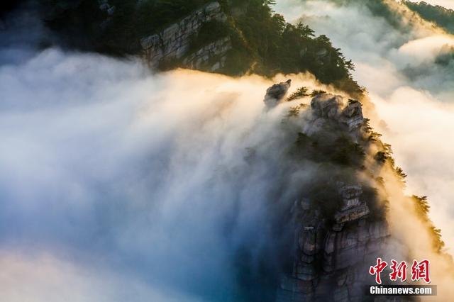 电影《长安三万里》竟有这么多九江元素