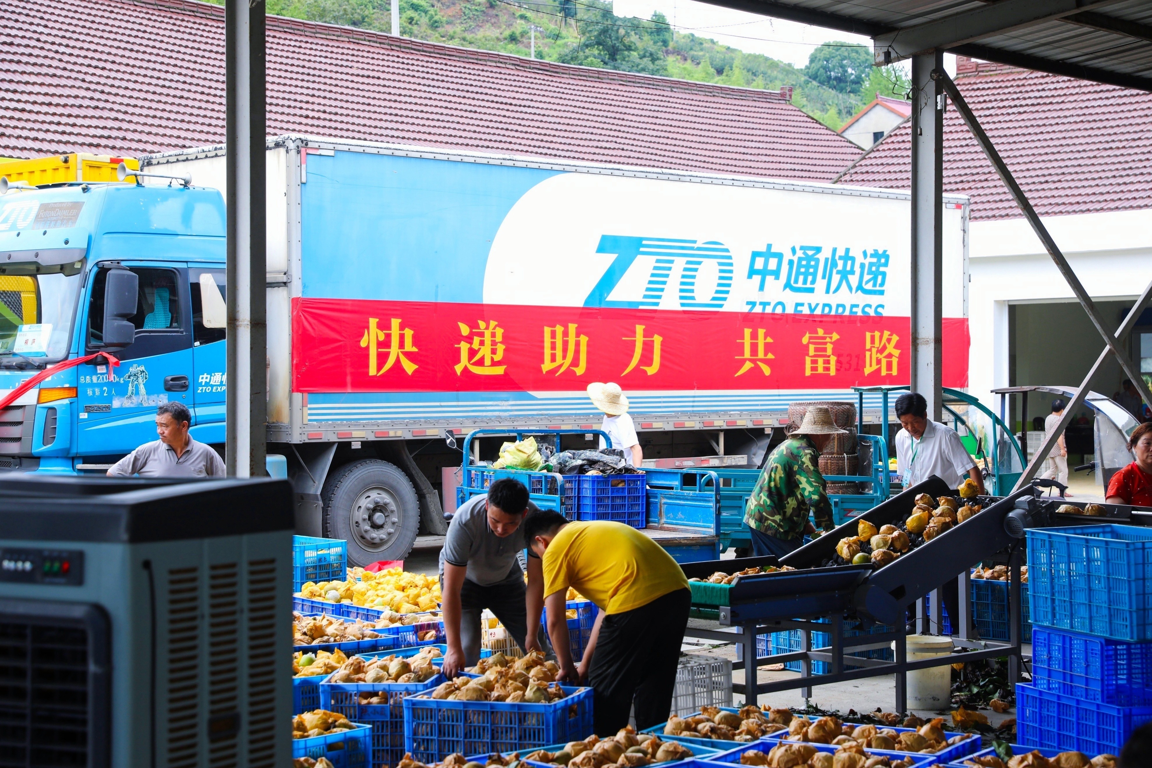 “共富账本”越来越厚！桐庐钟山蜜梨甜到农户心坎里