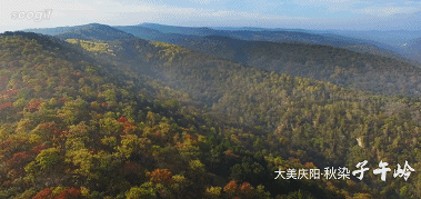 ▲大美子午岭 图/《寻根庆阳》