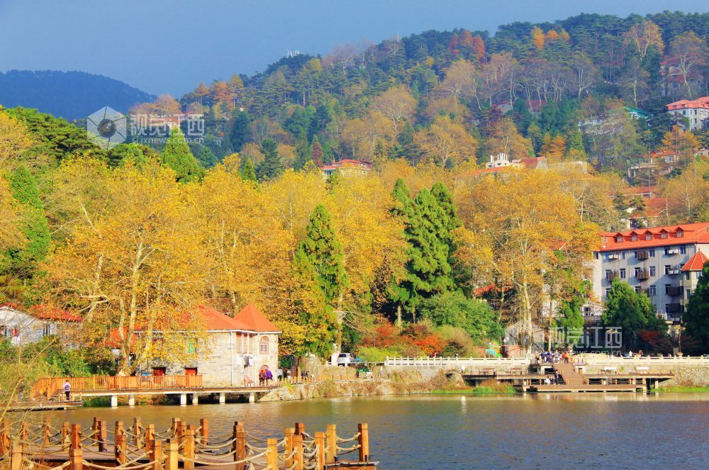 电影《长安三万里》竟有这么多九江元素