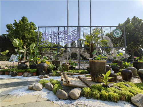 图1：活动现场。保定市植物园供图