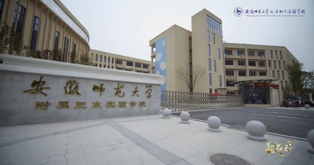 丨图源：安徽师范大学附属肥东实验学校公众号