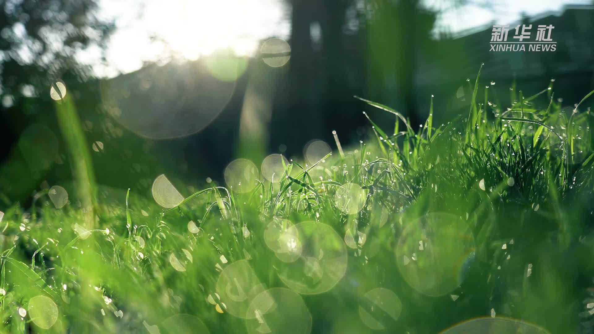 公益微视频｜节能降碳常叮咛“绿色”生活长随行