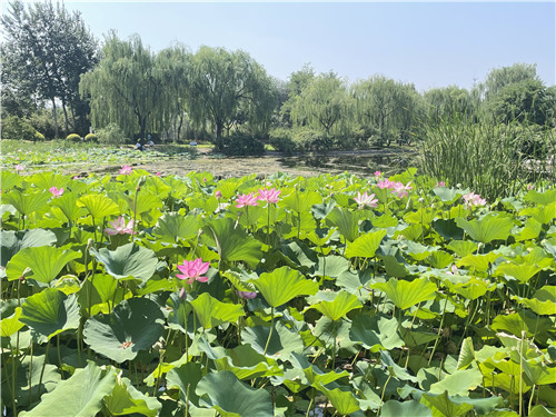 图5：活动现场。王君齐/摄