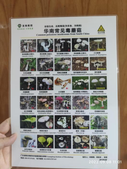 龙岗区食品安全事故流行病学调查应急处置演练成功举办