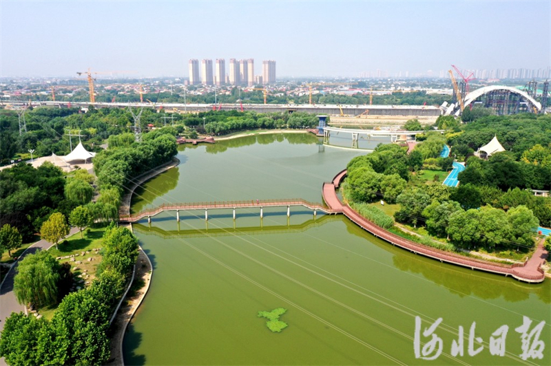 7月19日，石家庄市环城水系泊水公园（栾城区）。