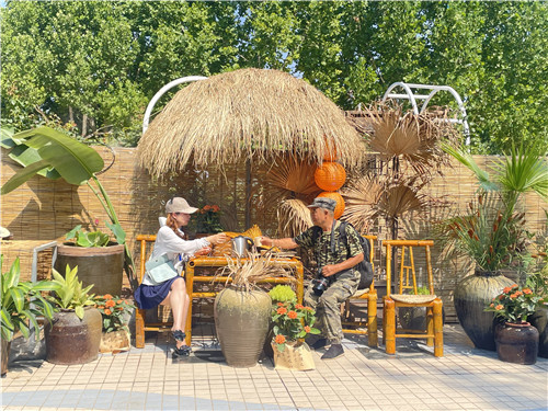 保定市植物园第四届水生植物艺术展拉开序幕