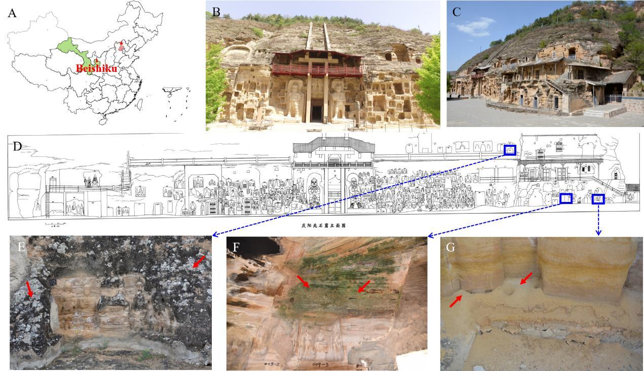 图1.北石窟寺外观及研究位点生物风化特征