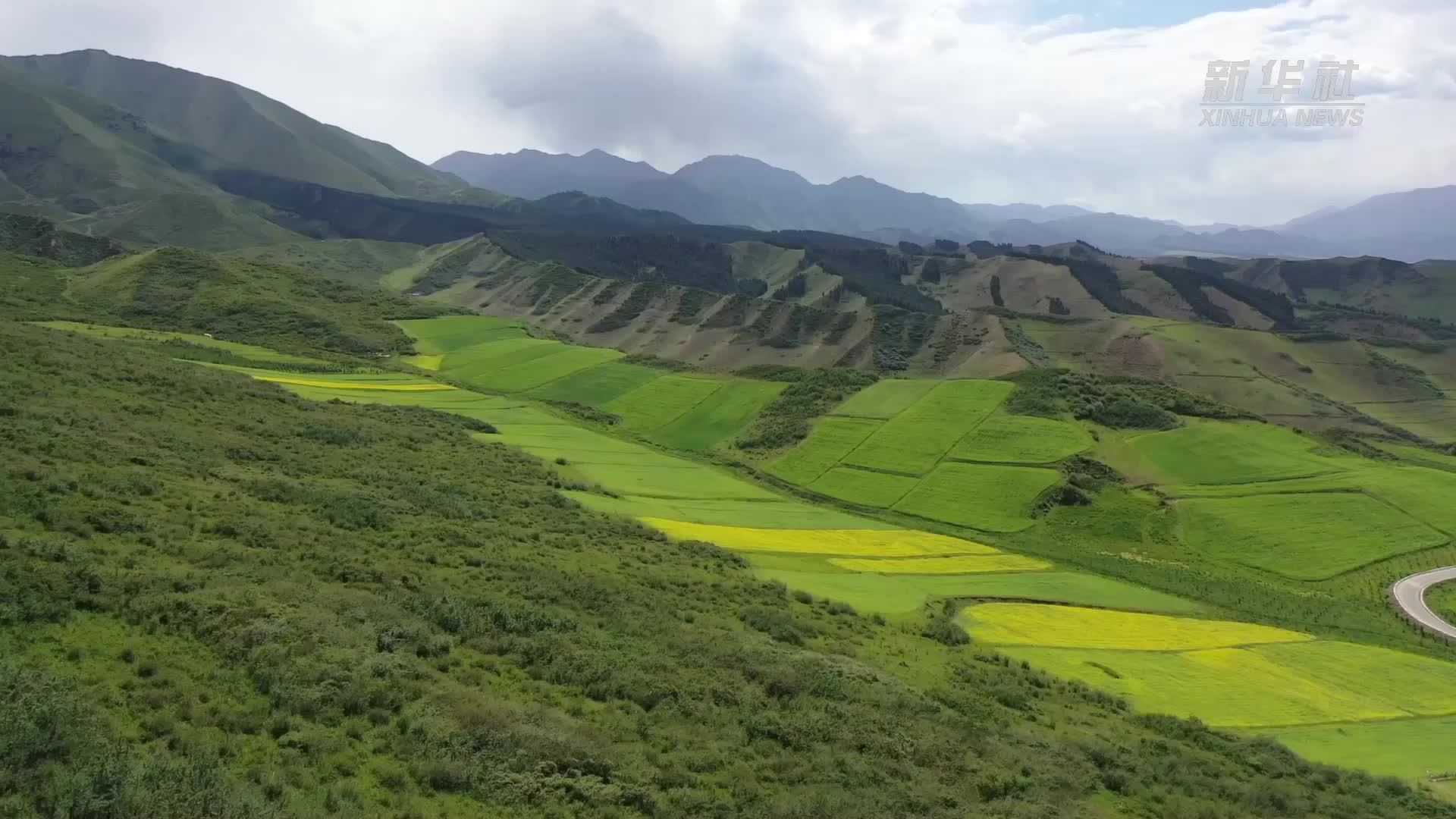 甘肃古浪：绿染荒山夏日美