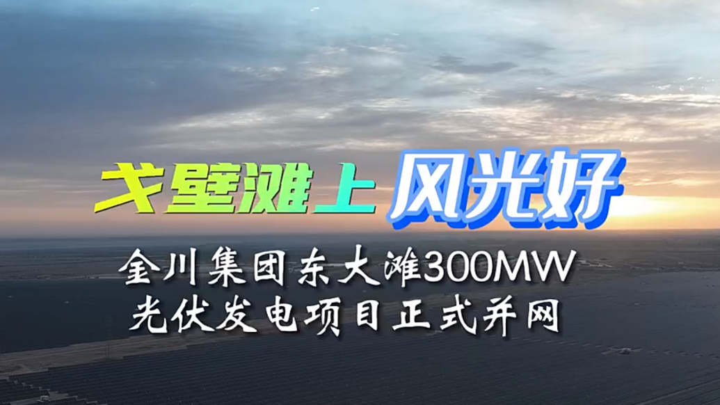 金川集团东大滩300MW光伏发电项目启动并网