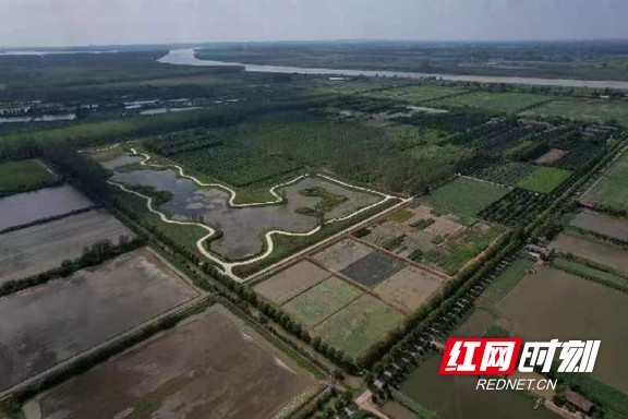 沅江湿地植物国家林木种质资源库草茂林深。