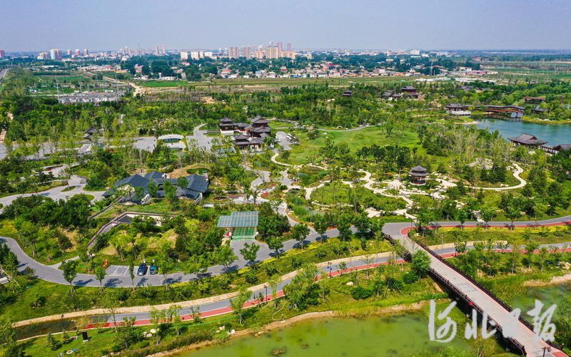 7月20日，无人机航拍雄安悦容公园美景。