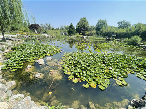 图6：活动现场。王君齐/摄