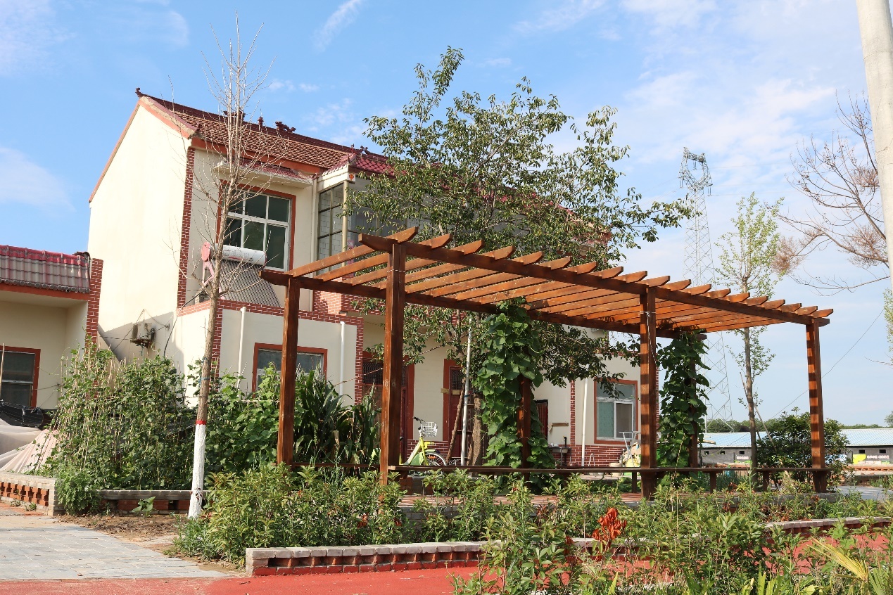 兰考县红庙镇青龙岗村村貌