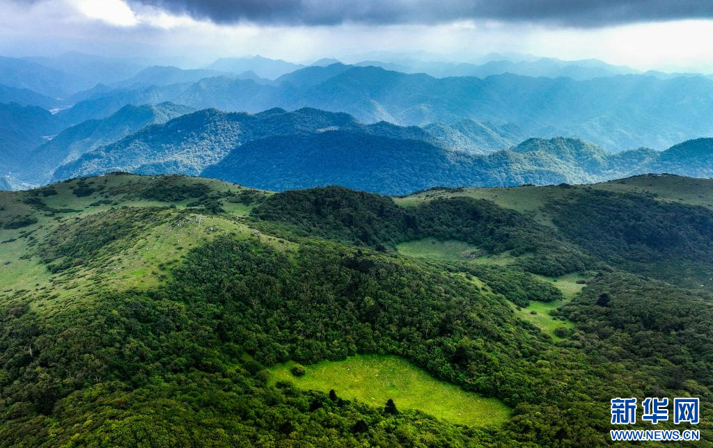 留坝县:紫柏山草甸醉游人