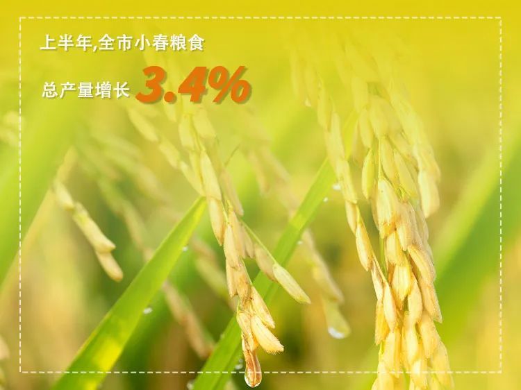 成都的经济总量_增长5.8%2023年上半年成都GDP10705.5亿元(2)