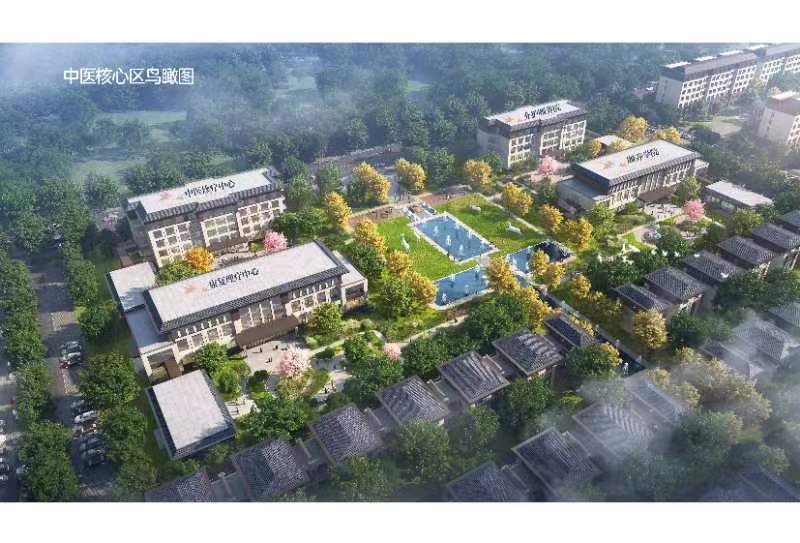 中医康养核心区鸟瞰图
