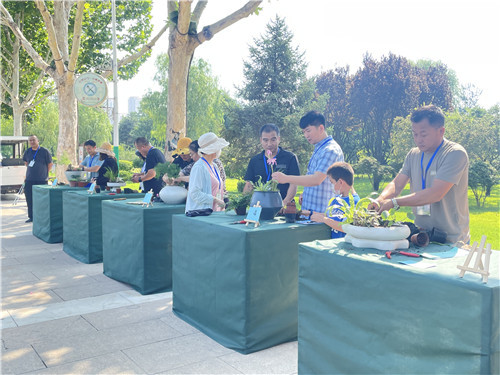 保定市植物园第四届水生植物艺术展拉开序幕