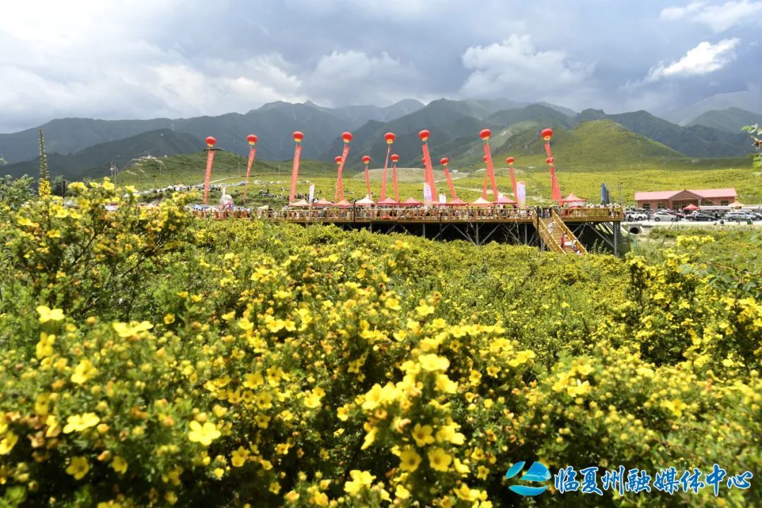 △ 7月17日，在积石山县黄草坪景区，金露梅旅游系列活动