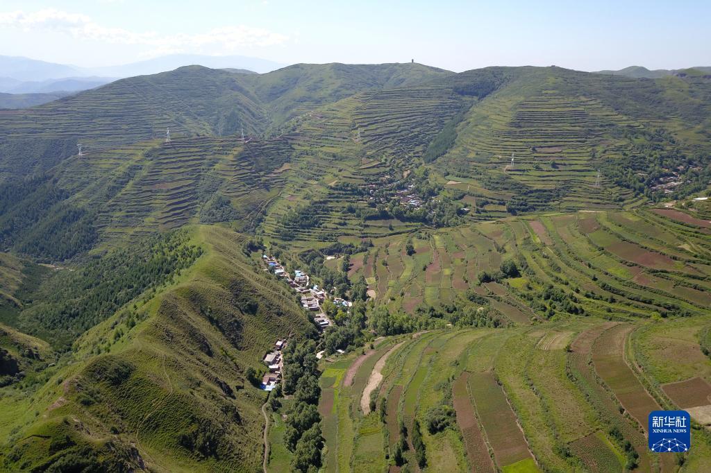 这是7月15日拍摄的兰州市七里河区西果园镇境内夏日景色（无人机照片）