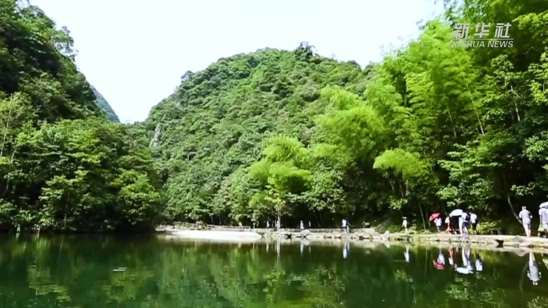 千城胜景｜浙江武义：在牛头山感受江南山林风光