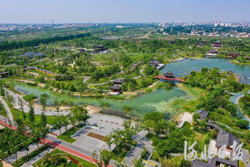 7月20日，无人机航拍雄安悦容公园美景。