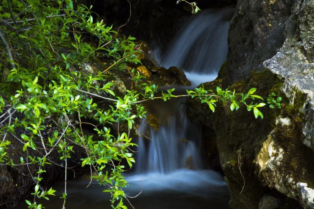 夏日的渭河源大景区(受访单位供图)