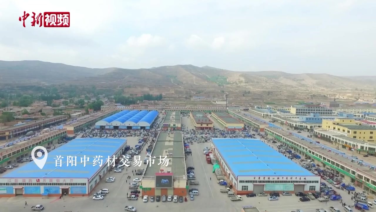 在西北最大中药材交易市场跟三千人"赶早集" 是啥体验