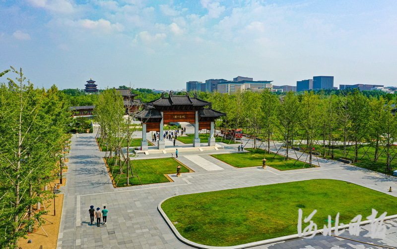 7月20日，游客们在雄安悦容公园游玩。