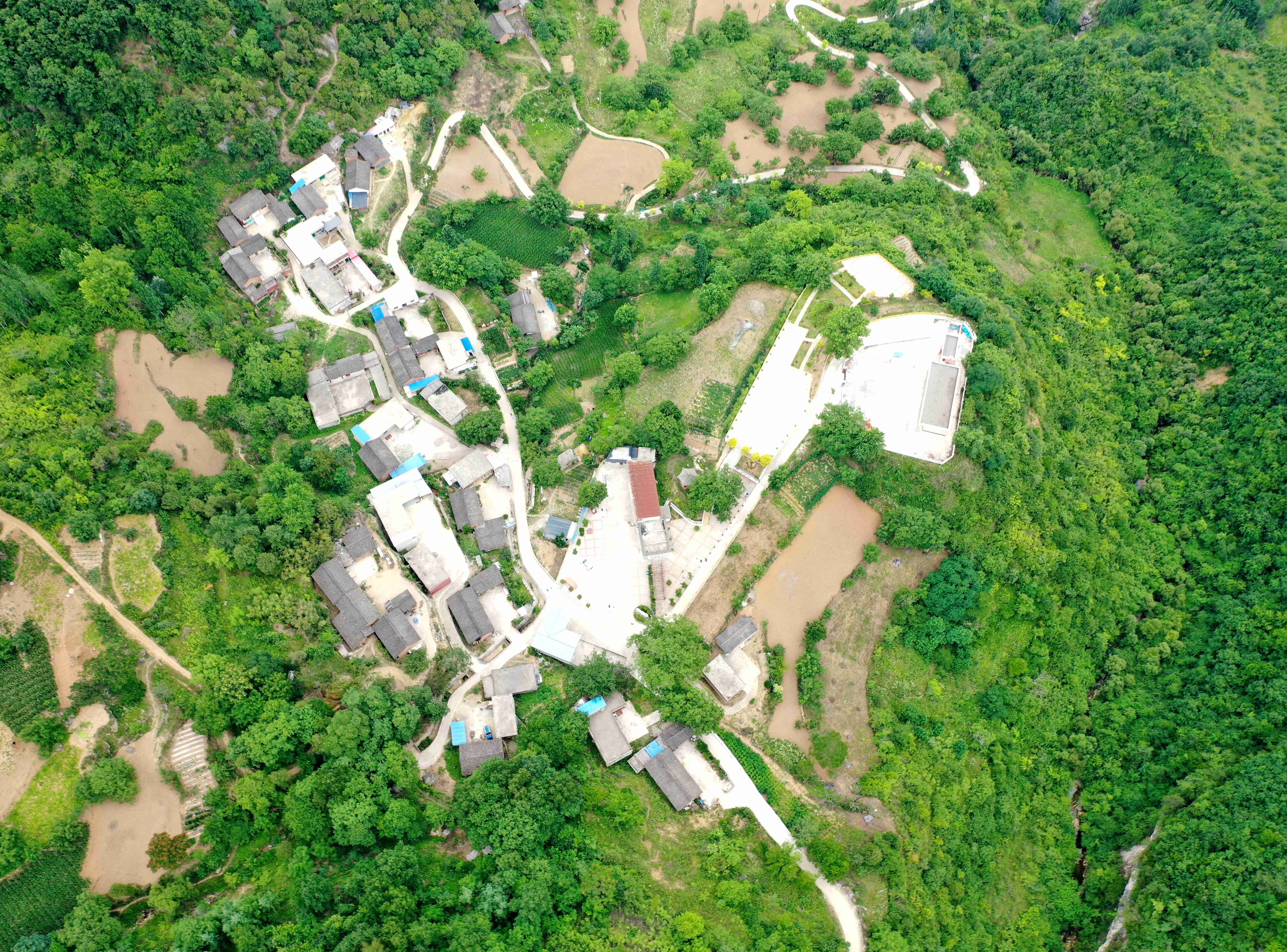 绿树环绕美如画的成县沙坝镇芦湾村 刘建军 摄