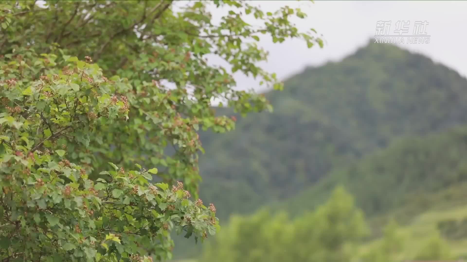 “以农促旅  以旅强农”带动乡村文旅发展