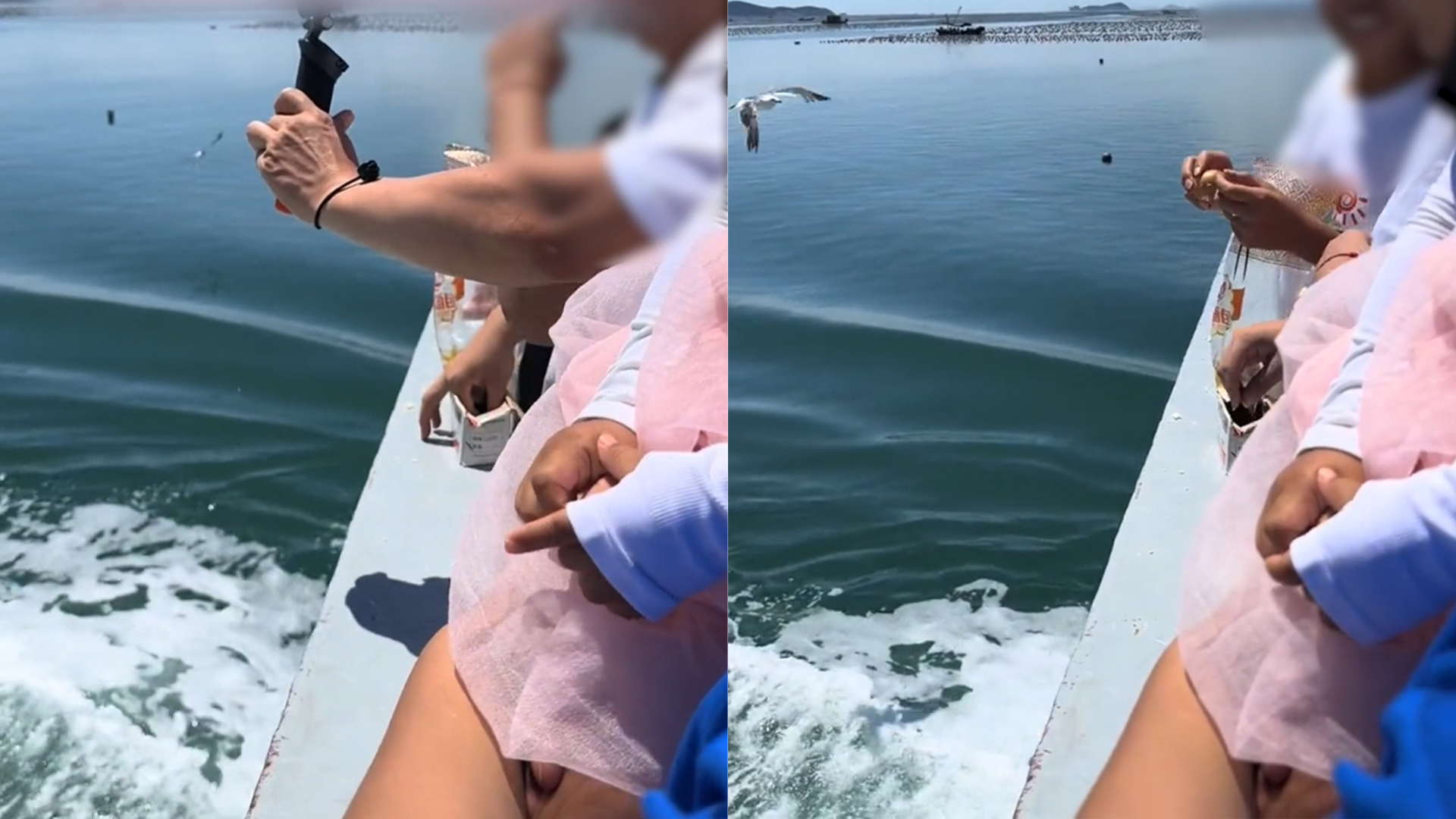 俩男子将钉子塞进面包喂海鸥，周围人劝说制止都不听，景区回应