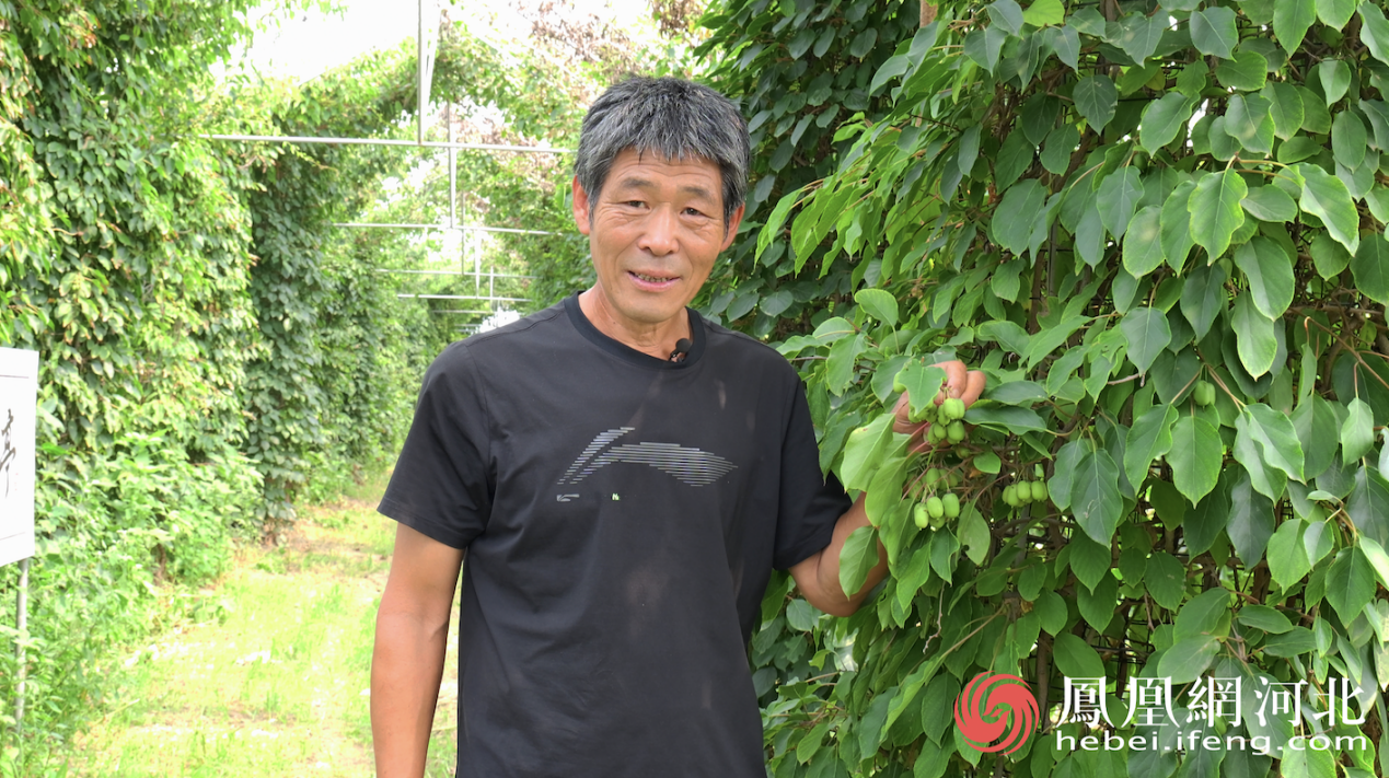 定州市东旺镇兴坤农业种植基地负责人周长友