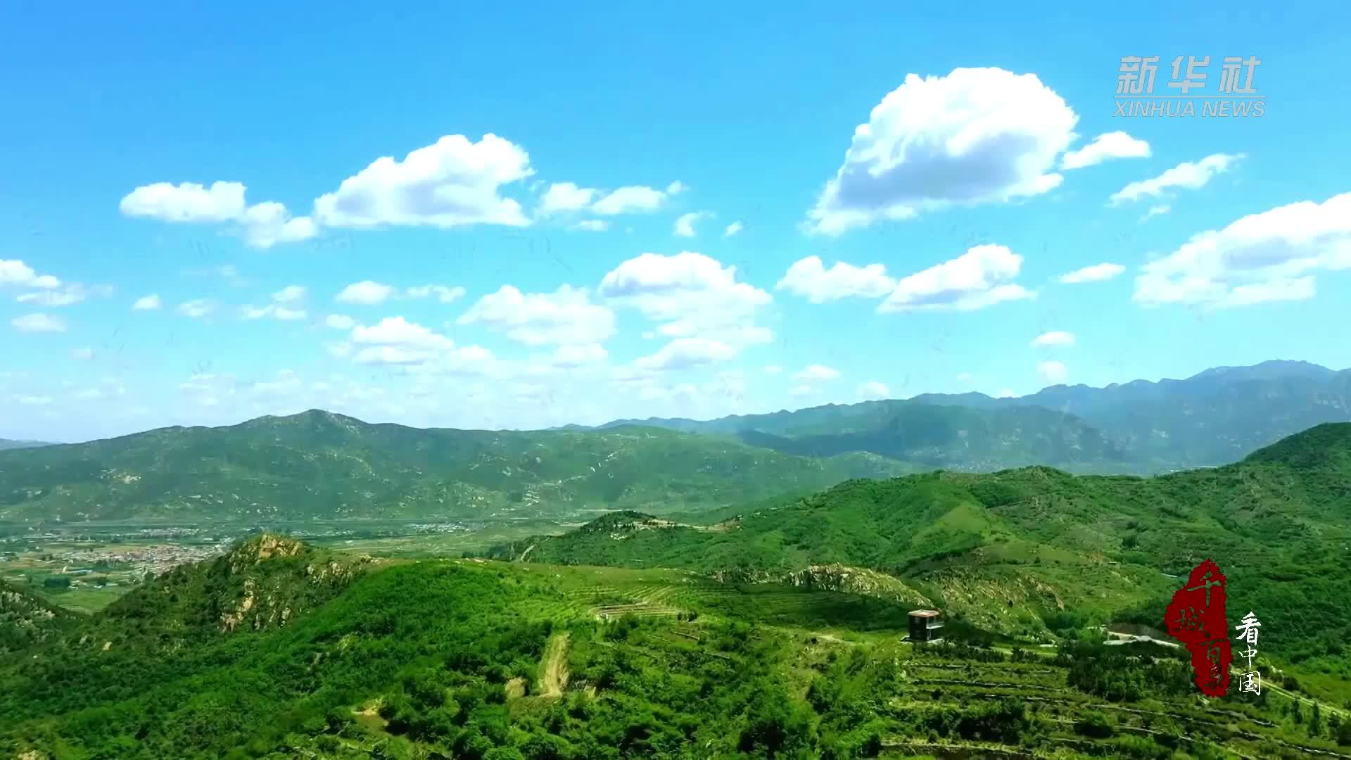 千城百县看中国|山东泰安：特色种植助力乡村振兴