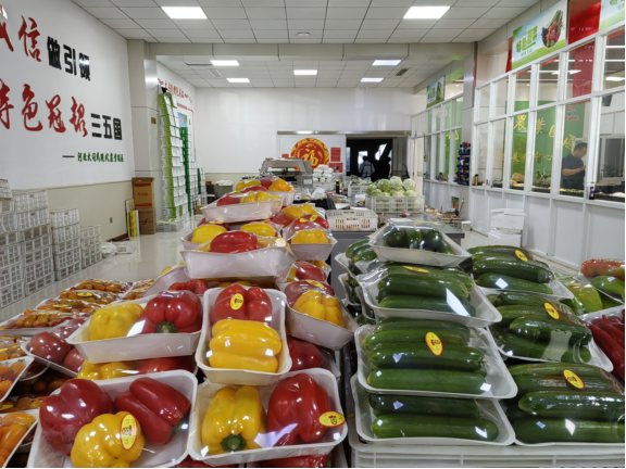 2023年河北省美丽休闲乡村媒体行——在沧州青县体验生态人文之美