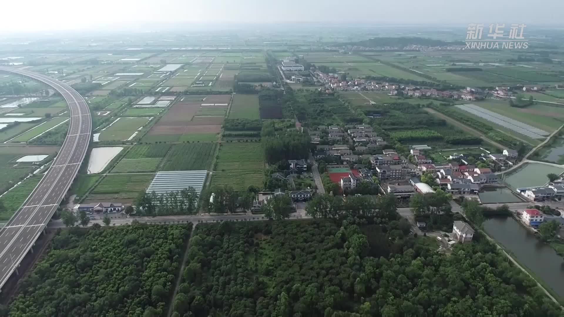 新时代中国调研行·长江篇丨峒山村的十年蝶变