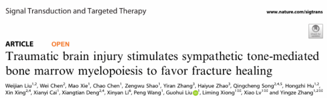 河北医科大学第三医院张英泽院士团队发文《STTT》：揭示创伤性脑损伤通过交感神经促进骨折愈合的神经免疫调控机制