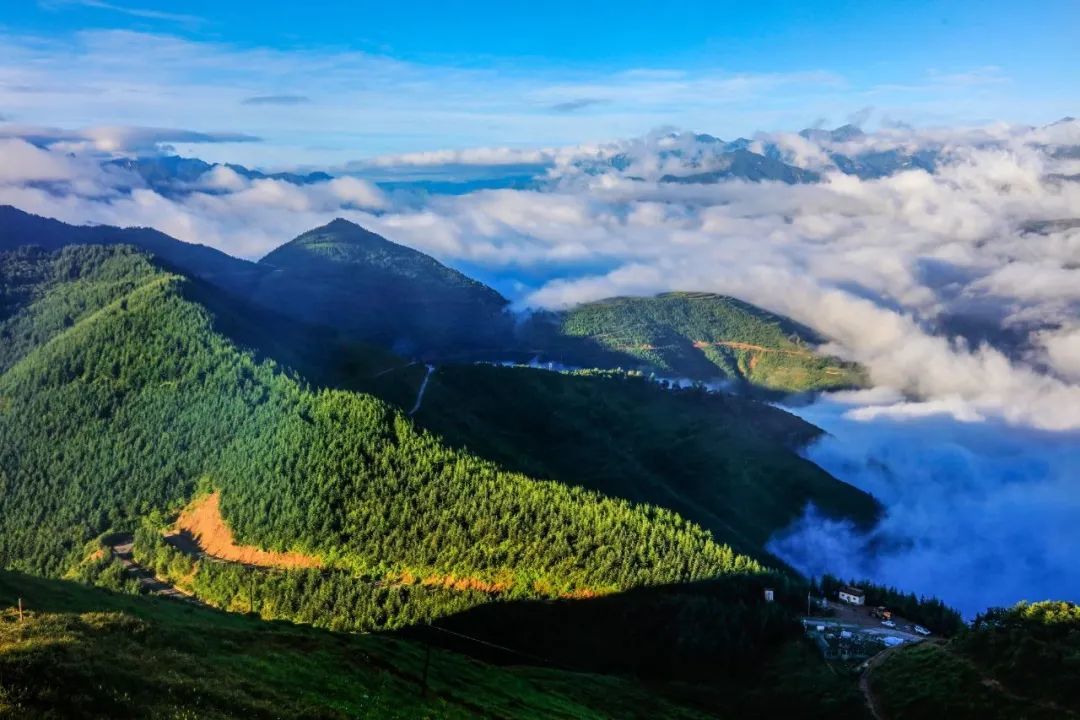 ▲绿色屏障。张红霞 摄