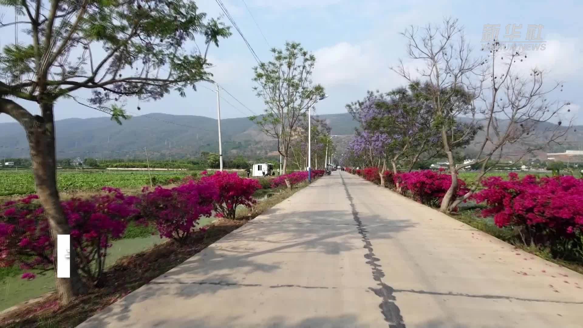 千城胜景｜云南施甸：绿美公路 生态乡村