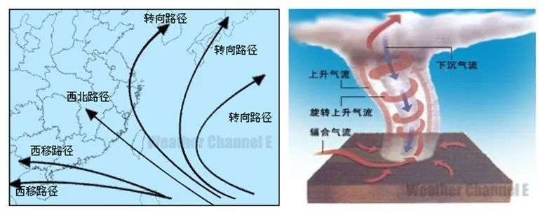 唐驳虎:超强台风杜苏芮登陆福建,影响半个中国