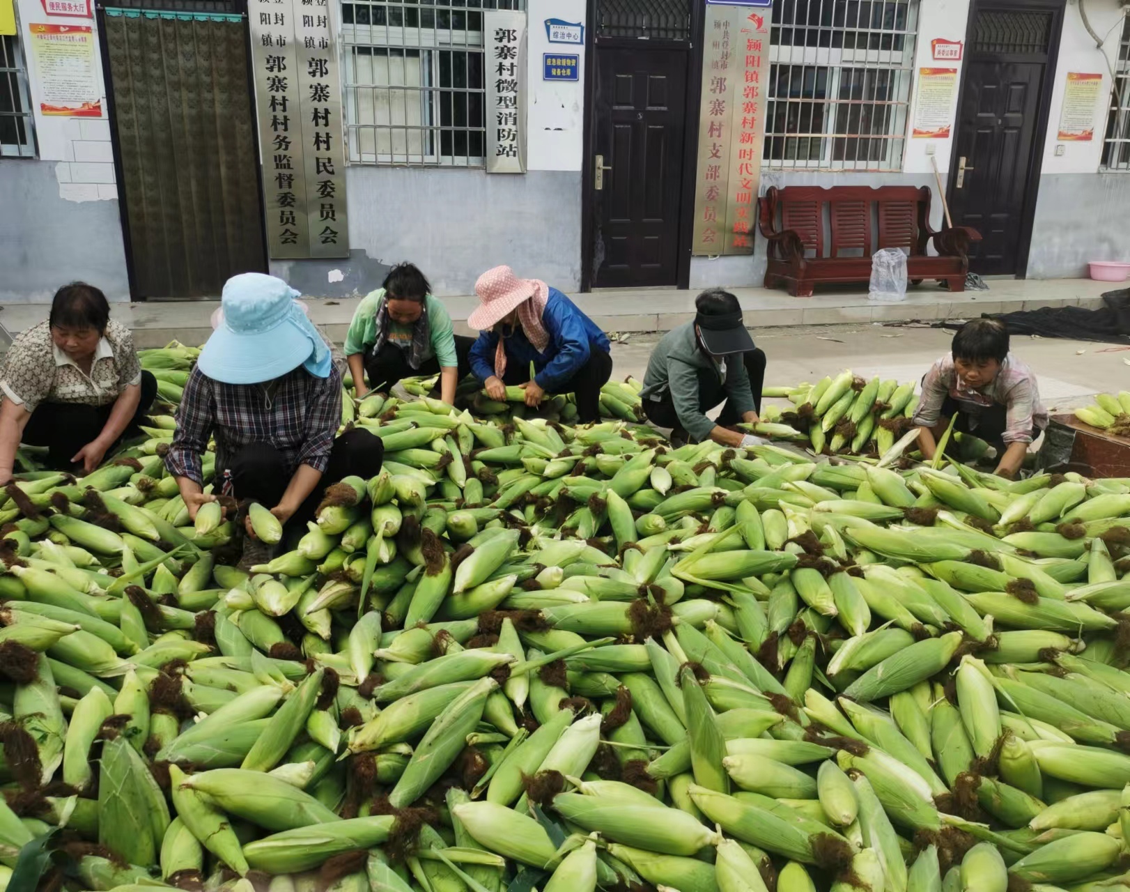 登封颍阳镇：特色种植擦亮产业兴旺之“星”
