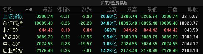A股指数集体低开:沪指跌0.31%,半导体芯片光伏等板块跌幅居前