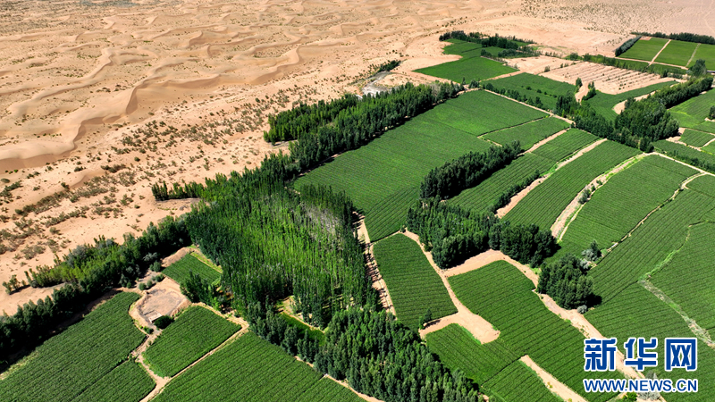 这是7月27日航拍的甘肃省张掖市临泽县板桥镇北部的荒漠戈壁。一边是沙漠，一边是绿色田园。