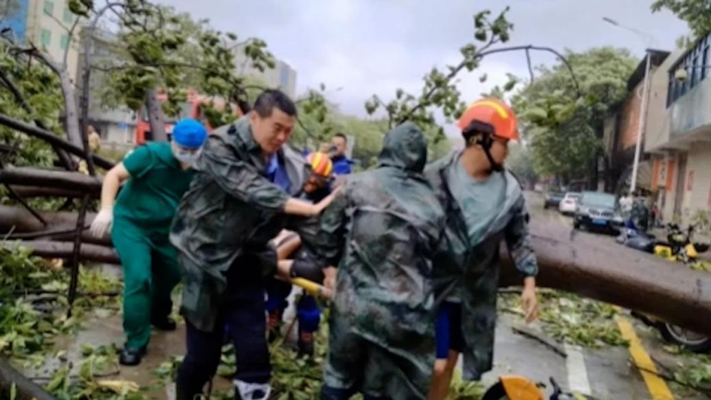 台风吹断大树压倒男子，民警联合消防队救出