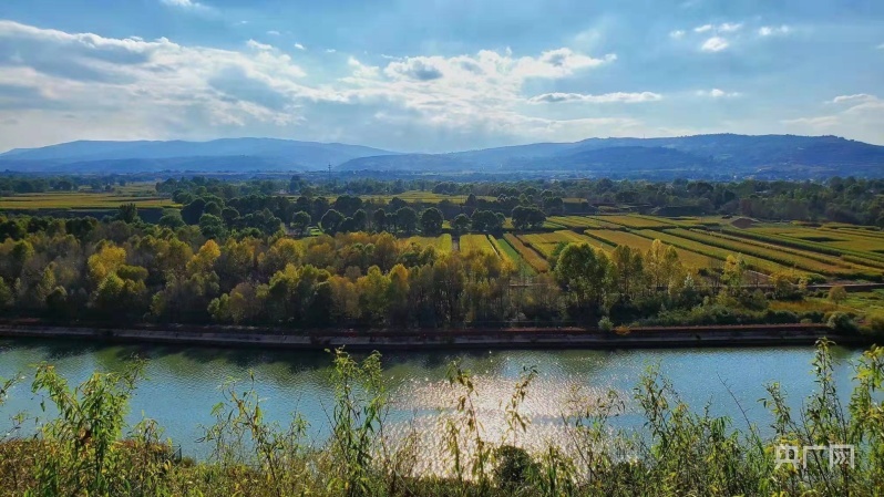 临洮洮河国家湿地公园一河清波两岸绿(央广网发 临洮县委宣传部 供图)