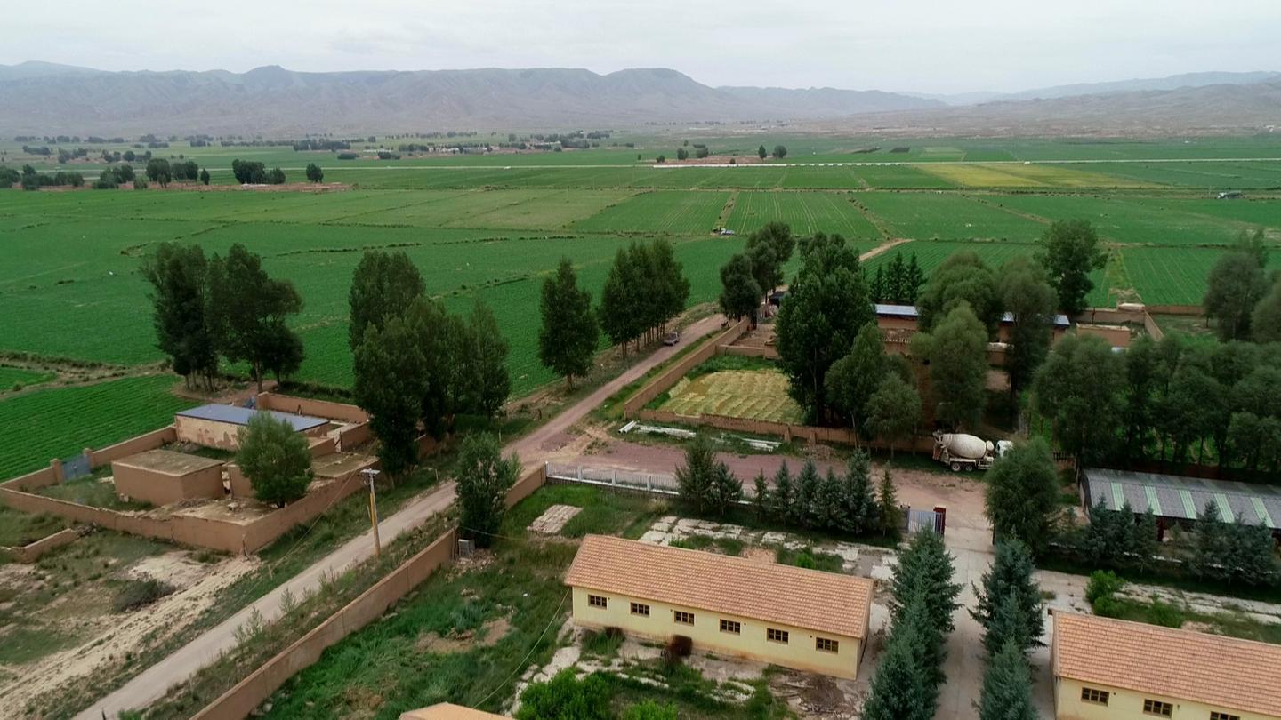 打造精品“菜篮子” 永昌高原夏菜种出“金”产业